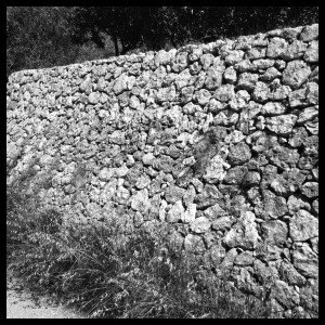 trail palma gandia muro luciapascual