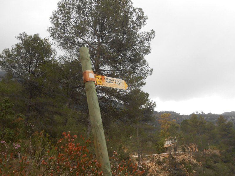 barranc-de-la-parra-trail-villalonga-luciapascual